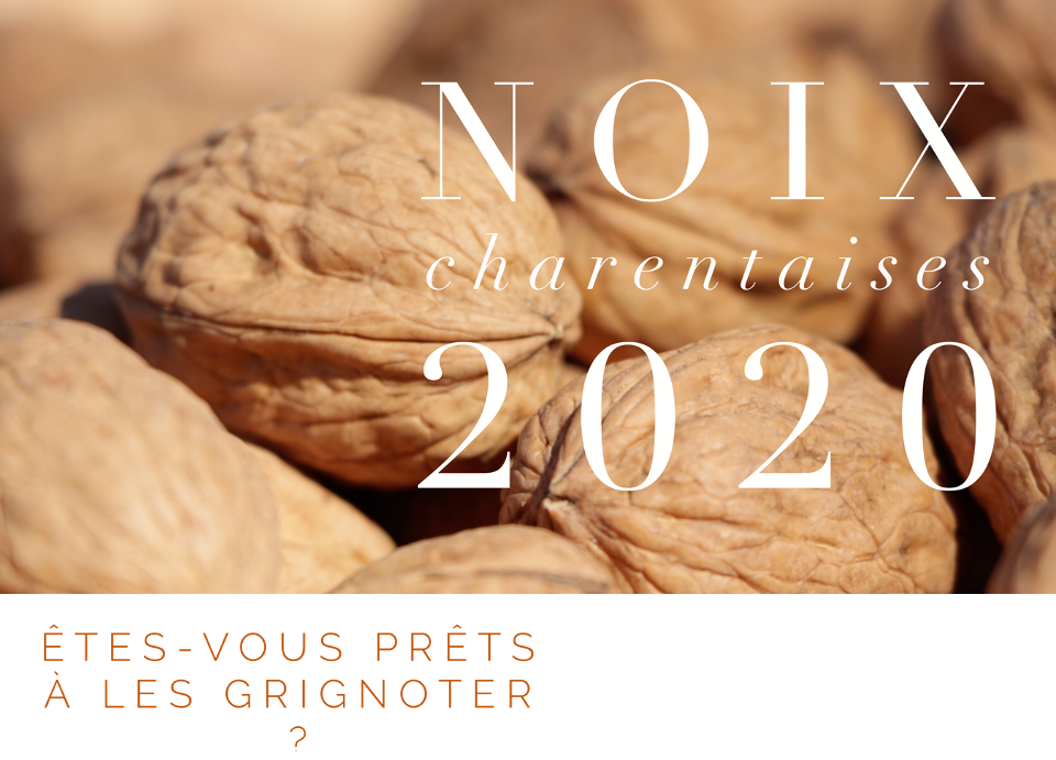 Lettre d&rsquo;information – Octobre 2020