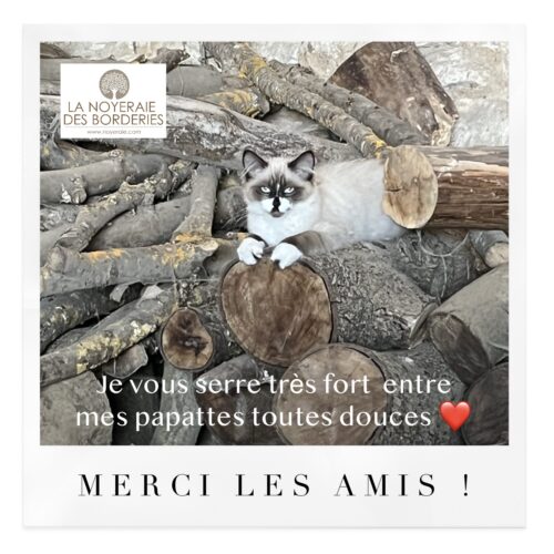 3ème PALIER ATTEINT ET 130 CONTRIBUTEURS ! MERCI DE VOTRE GÉNÉROSITÉ