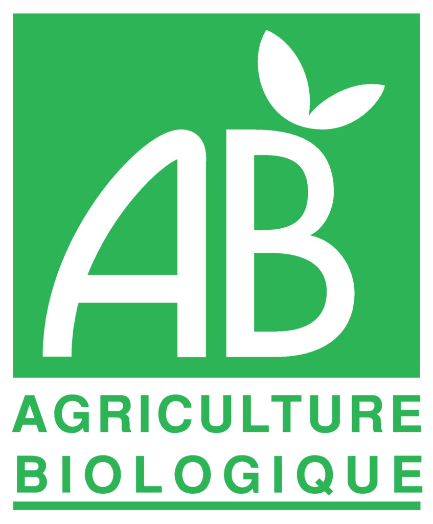Cerneaux De Noix BIO Extra 1 kg Triés À La Main 🇫🇷
