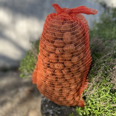 NOIX BIO Calibre moyen 28+  🏷️ PROMO 5 KG 🚜 – Image 1