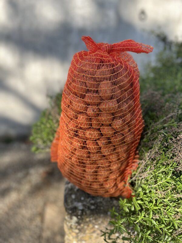 NOIX BIO Gros Calibre 32+ 🏷️ PROMO 5KG 🌿