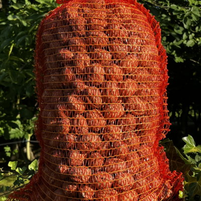 NOIX BIO Calibre moyen 28+ 🏷️  Le colis XXL de 10 kg 🚜 – Image 3