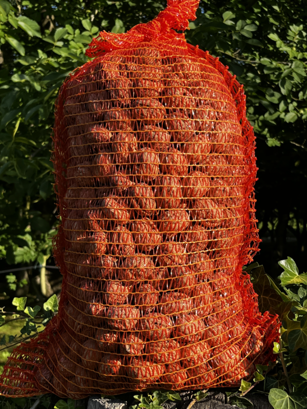 NOIX BIO Calibre moyen 28+ 🏷️  Le colis XXL de 10 kg 🚜