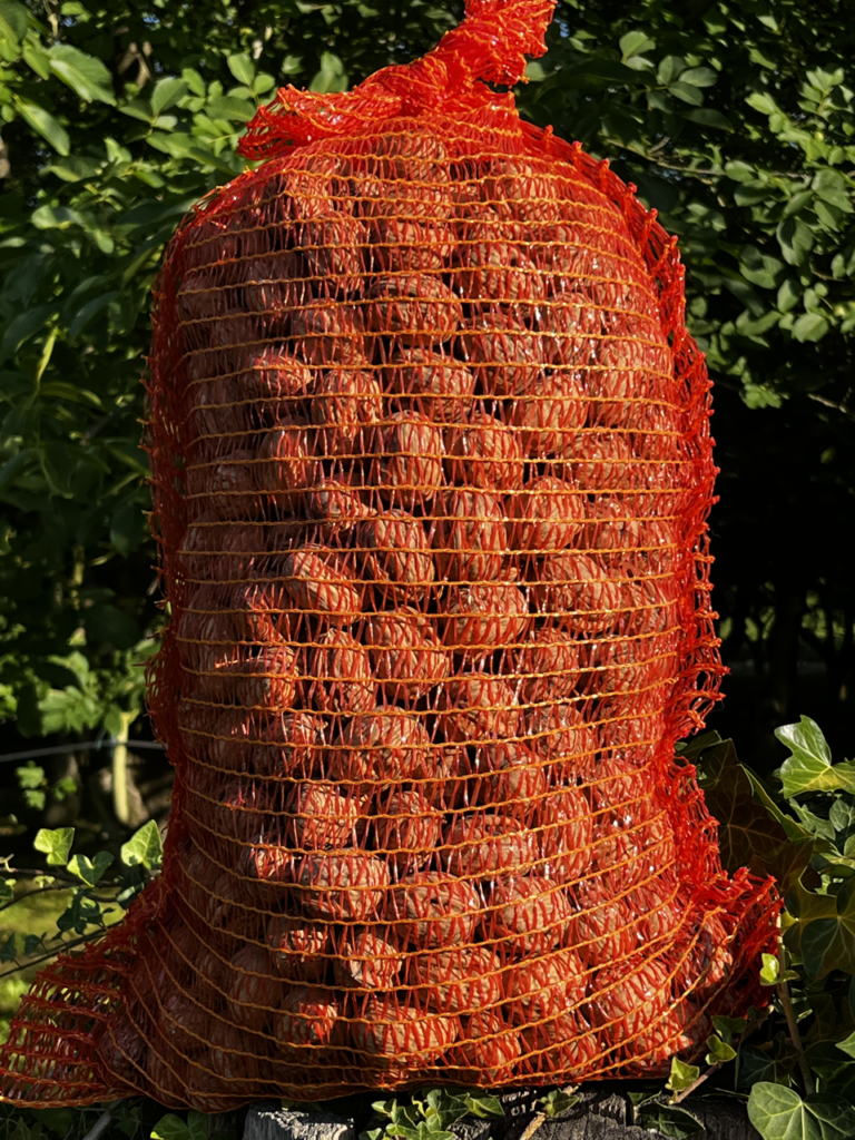 Déstockage !! Noix BIO Calibre Moyen 28+ 🏷️ Promo 5 kg 🚜