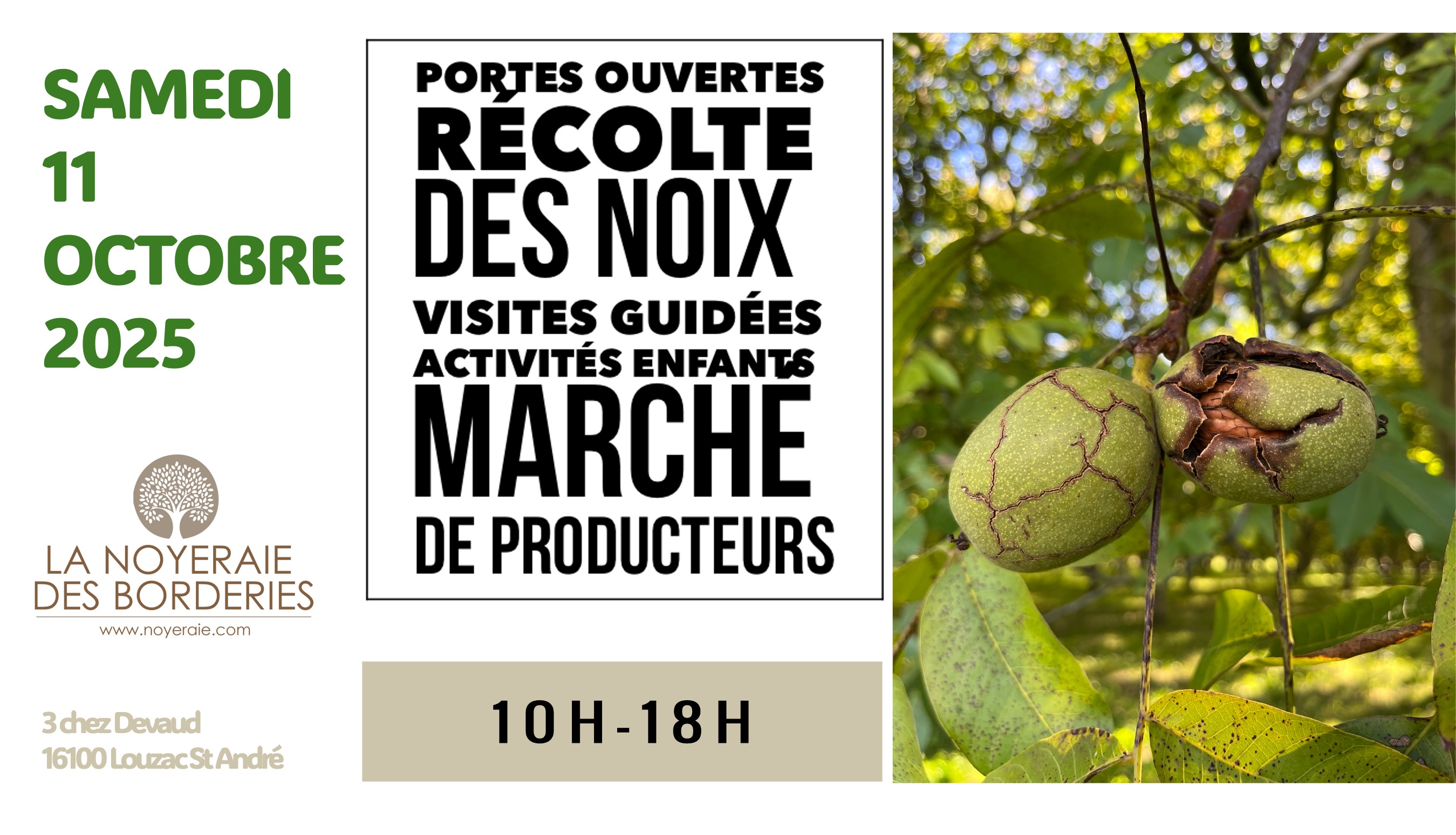 PORTES OUVERTES « Récolte des Noix »