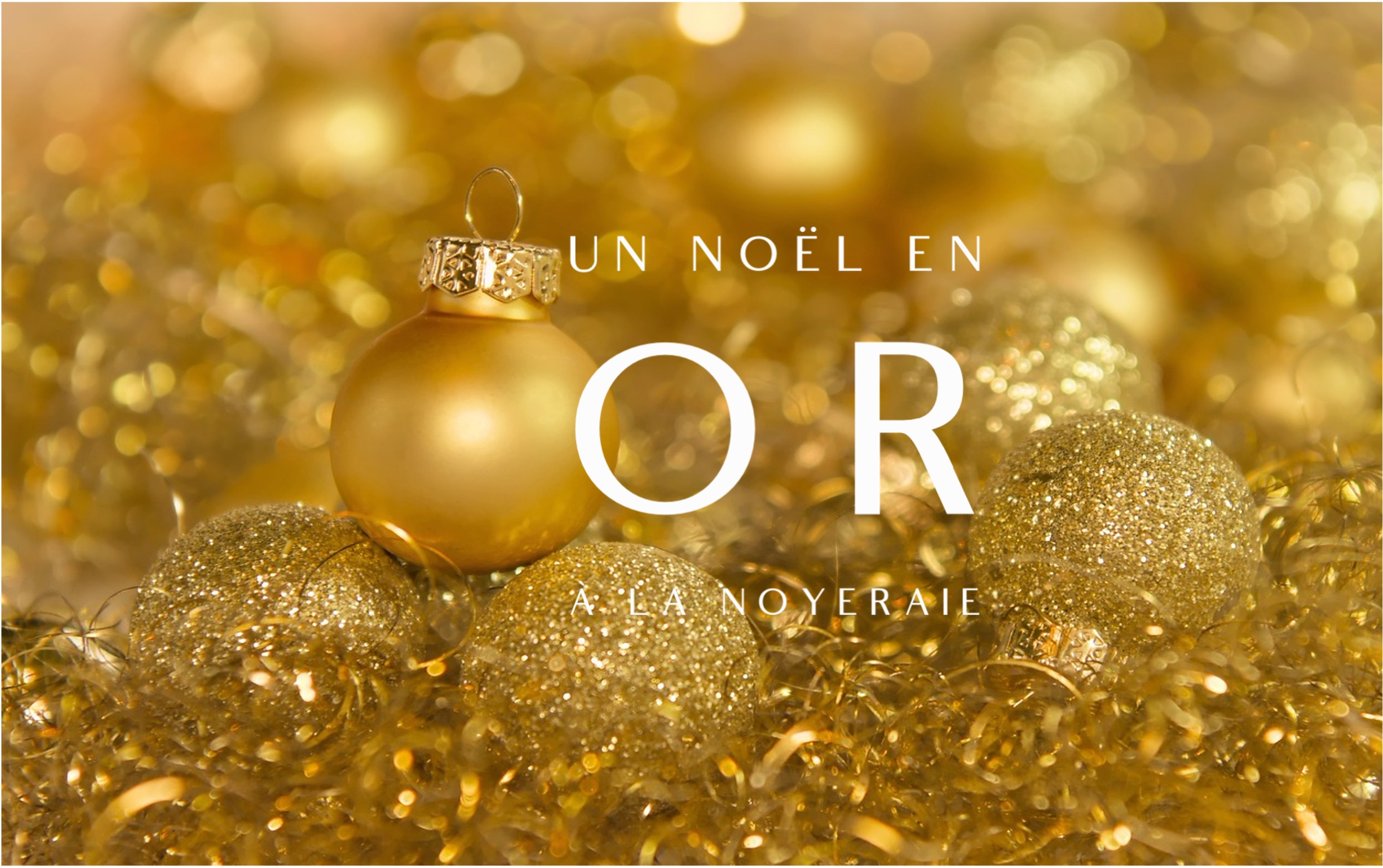 NOËL EN OR à la Noyeraie !