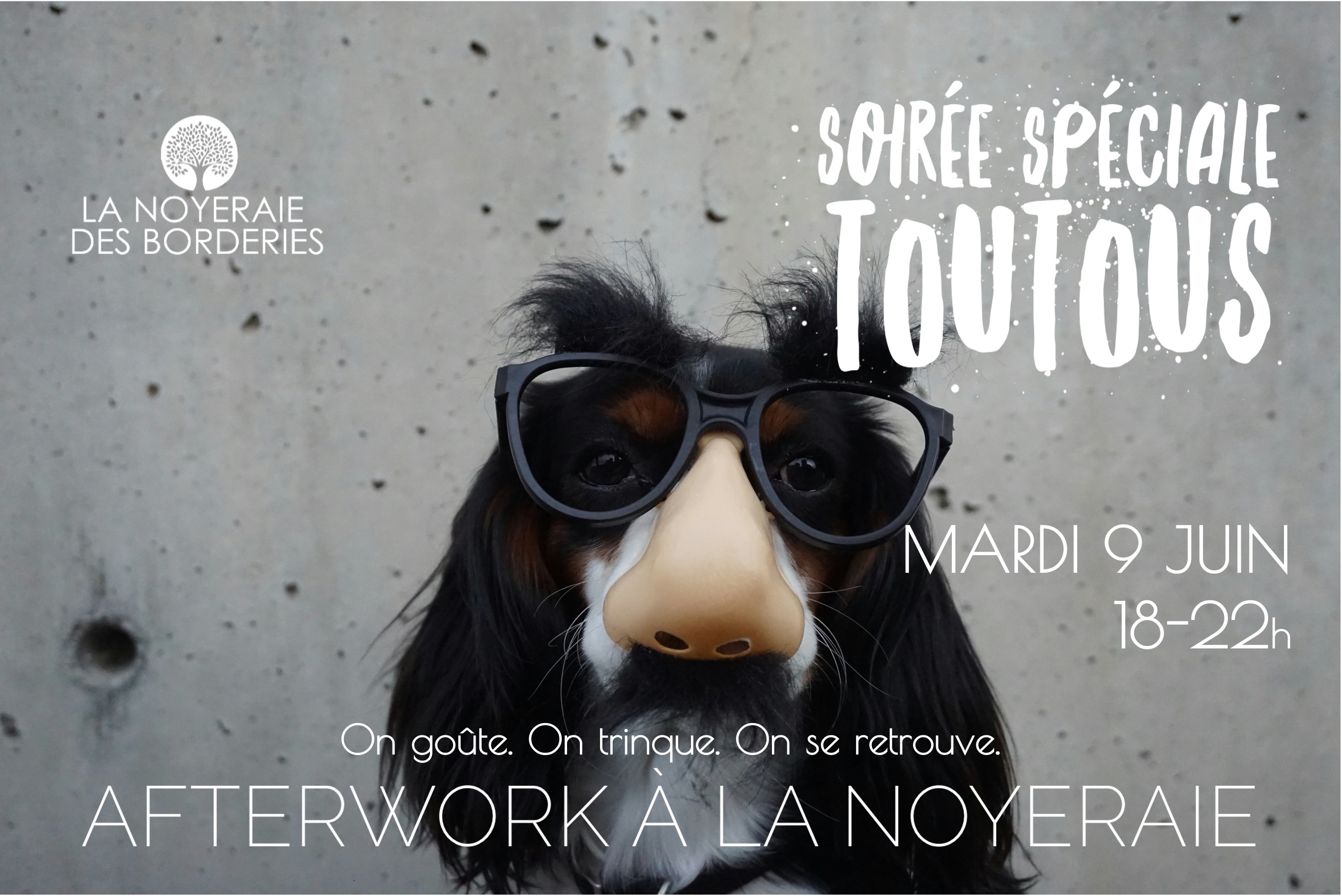 Afterwork à la Noyeraie ! Mardi 9 juin  Soirée « Spéciale Toutous »
